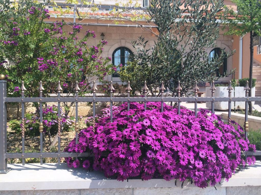 Villa Marija Podgora Εξωτερικό φωτογραφία