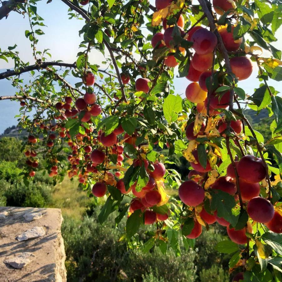 Villa Marija Podgora Εξωτερικό φωτογραφία